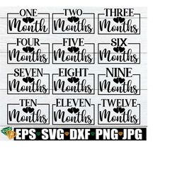 Baby Monthly Milestone Markers, Monthly Milestone SVG For Baby Photos, Monthly Milestone SVG, Baby Milestone SVG, Monthly Baby Milestones