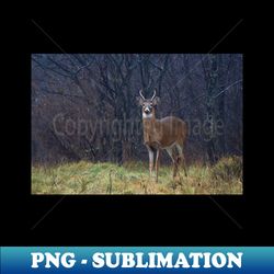Young Buck in Snow - PNG Transparent Sublimation Design - Revolutionize Your Designs