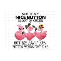 Sorry My Nice Button Is Out Of Order But My Bite Me Button Works Just Fine Flamingo Png, Funny Saying PNG, Funny Coworker, Sublimation Quote