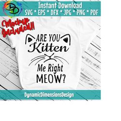 Are you kitten me right meow SVG| Cat lover SVG design | Cat Mom SVG | Cute Cat Car Decal Design | Cricut Cut Design