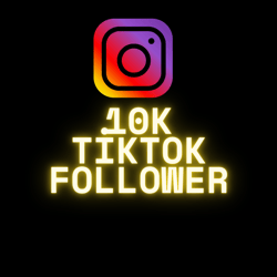 Instagram Followers 10K Fast Delivery