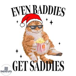 Baddies Get Daddies Cat Meme PNG