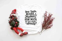 Dear Santa Shirt, Funny Christmas Shirt, Naughty Joyful Mistletoe Blessing Friends Snow Noel Shirt, Christmas Winter Shi