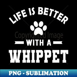 Whippet Dog - Life is better with a whippet - Unique Sublimation PNG Download - Spice Up Your Sublimation Projects