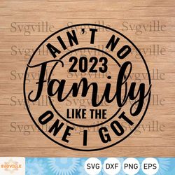 Ain't No Family Like The One I Got SVG, 2023 Family Quote svg, Summer Quote Svg, Family, Summer Vacation Shirt Svg, Svg