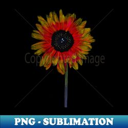 Red and Yellow Sunflower Illustration - Instant Sublimation Digital Download - Enhance Your Apparel with Stunning Detail