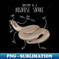 Superconda Hognose Snake Anatomy Anaconda - Trendy Sublimation Digital Download - Perfect for Sublimation Art