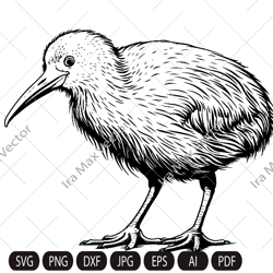 Kiwi SVG, Kiwi Bird svg, Kiwi Bird detailed, Kiwi png , Kiwi clipart, Kiwi Bird Clipart, Kiwi Bird svg files , Kiwi art