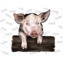 Watercolor Farm Pig Png, Pig Sublimation Png, Cute Pig Png, Love Pig Png, Pig Design,Hand Drawing,Farm Life Sublimation