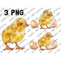 Chick Bundle Sublimation Design, Chicks Png, Chicks Clipart,Hand Drawn Chicks Png, Chicks Portrait Png, Western Eggs Png, Sublimation Design