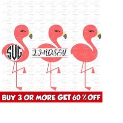 Flamingo SVG Bundle, Birthday Girl SVG, Flamingo Clipart, Summer, Baby, Png, Svg Files For Cricut, Silhouette, Sublimati