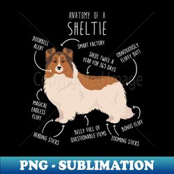 Color Headed White Sheltie Shetland Sheepdog Anatomy - Stylish Sublimation Digital Download - Defying the Norms