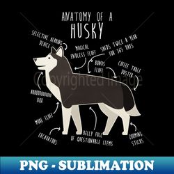Black and White Siberian Husky Dog Anatomy - PNG Transparent Sublimation Design - Bring Your Designs to Life