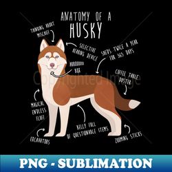 Red Siberian Husky Dog Anatomy - Vintage Sublimation PNG Download - Bring Your Designs to Life