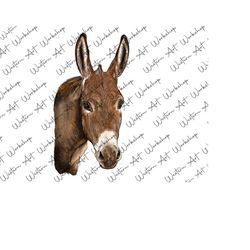 Donkey Sublimation Png, Donkey Portrait Png, Hand Drawn Donkey Png, Donkey Clipart, Animal Design Png, Digital Download