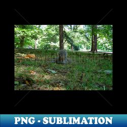 Nature Squirrel Prone in Park - Aesthetic Sublimation Digital File - Unlock Vibrant Sublimation Designs