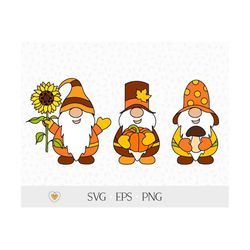Fall gnomes svg, Autumn gnomes svg, Thanksgiving svg, Svg files for cricut, png