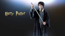 Harry Potter Sword HAND FORGED HIGH CARBON STEEL VIKING SWORD SHARP