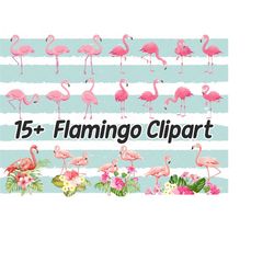 15 Flamingo clipart, tropical flamingo clipart, cute flamingo clipart, christms flamingo clipart,  flamingo clipart comm