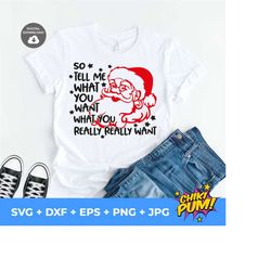 so tell me what you want what you really really want svg, funny santa svg,  funny christmas svg