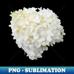White Hydrangea Floral Photo Cutout - Trendy Sublimation Digital Download - Unleash Your Inner Rebellion