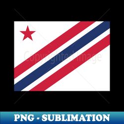 Inspector General flag of the Norwegian coastal artillery - Special Edition Sublimation PNG File - Perfect for Personalization