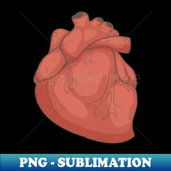 Heart Anatomy - PNG Transparent Sublimation Design - Perfect for Creative Projects