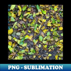 FALLEN AUTUMN LEAVES 5 - Elegant Sublimation PNG Download - Transform Your Sublimation Creations