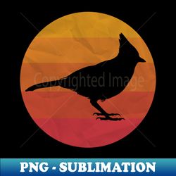 Stellers Jay Bird - Creative Sublimation PNG Download - Capture Imagination with Every Detail