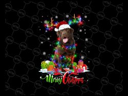 Funny Chocolate Lab Dog Merry Christmas PNG, Labrador Retriever Gift, Merry Christmas, Chocolate Lab, Labrador Christmas