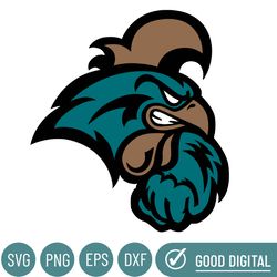 Coastal Carolina Chanticleers Svg, Football Team Svg, Basketball, Collage, Game Day, Football, Instant Download