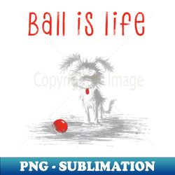 ball is life dog with red ball - elegant sublimation png download - fashionable and fearless