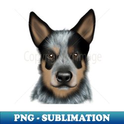 Cute Australian Cattle Dog Drawing - Aesthetic Sublimation Digital File - Boost Your Success with this Inspirational PNG Download