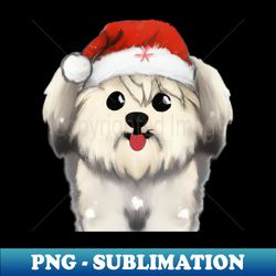 Cute Havanese Drawing - PNG Transparent Digital Download File for Sublimation - Bring Your Designs to Life