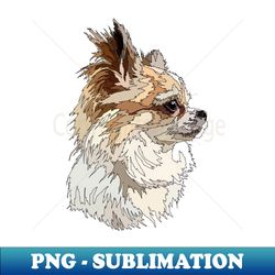 Chihuahua Long Haired - Trendy Sublimation Digital Download - Capture Imagination with Every Detail