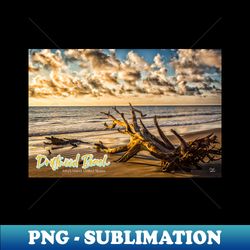Driftwood Beach Jekyll Island - Vintage Sublimation PNG Download - Perfect for Personalization