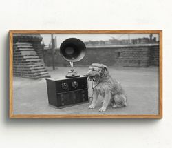Samsung Frame TV Art, Dog Listening to Music, Black and White Art, Vintage Wall Art, Dog Wall Art, Funny Wall Art, DOWNL