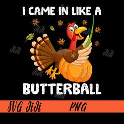 I Came In Like A Butterball PNG, Funny Turkey Thanksgiving PNG
