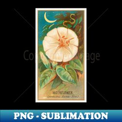 Moonflower Ipomoea Bona Nox - Premium PNG Sublimation File - Fashionable and Fearless