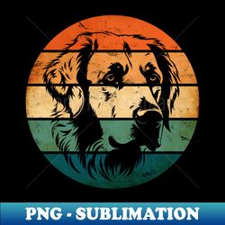 Retro Style Vintage Design Kuvasz Dog - Creative Sublimation PNG Download - Unlock Vibrant Sublimation Designs