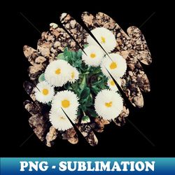 white flowers - photography collection - premium png sublimation file - transform your sublimation creations
