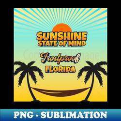 Frostproof Florida - Sunshine State of Mind - Exclusive Sublimation Digital File - Capture Imagination with Every Detail