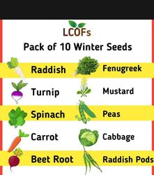 Pack of 10 winter vegetables seeds