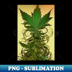 vintage cannabis beauty 14 - premium png sublimation file - bold & eye-catching
