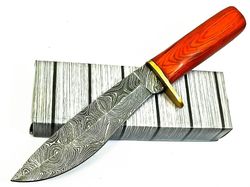 custom handmade Damascus steel hunting bowie knife wood & brass guard handle gift for him groomsmen gift wedding anniver