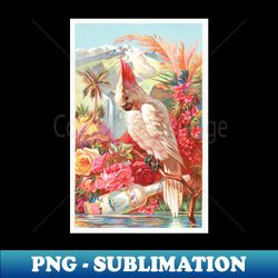Florida Water Advertisment Murray  Lanman 18701900 - High-Quality PNG Sublimation Download - Stunning Sublimation Graphics
