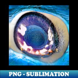 Cannibalism of Despair - Composition VII - PNG Transparent Digital Download File for Sublimation - Stunning Sublimation Graphics