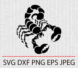 Scorpion SVG,PNG,EPS Cameo Cricut Design Template Stencil Vinyl Decal Tshirt Transfer Iron on