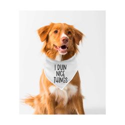 Funny Dog SVG | Dog Svg |  I Ruin Nice Things Svg | Dog Bandana Svg | Dog Mom Svg | Dog Dad Svg | Dog Mama Svg | Dog Mum