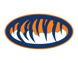 Auburn TigersRugby Ball Svg, ncaa logo, ncaa Svg, ncaa Team Svg, NCAA, NCAA Design 49